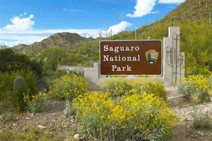 2 Saguaro National Park Districts in 1 Incredible Itinerary The Wordy