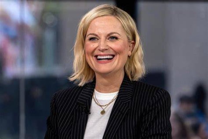 Amy Poehler Has a 'Parks and Recreation' Reunion in the Works…Kinda