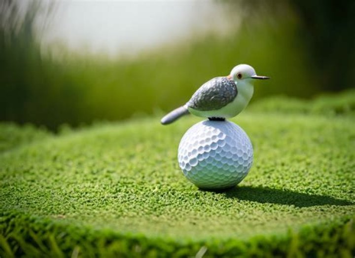 Birdie in Golf What the Scoring Term Means for Your Game