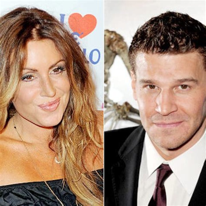 David Boreanaz admits he cheated on his wife The Blemish