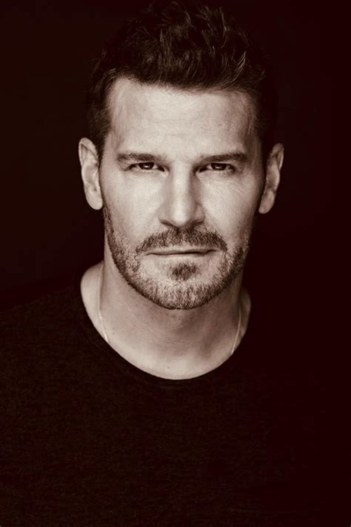 David David Boreanaz Photo (640923) Fanpop