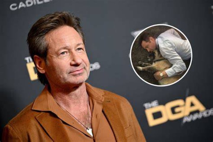 David Duchovny makes rare appearance with young girlfriend Monique