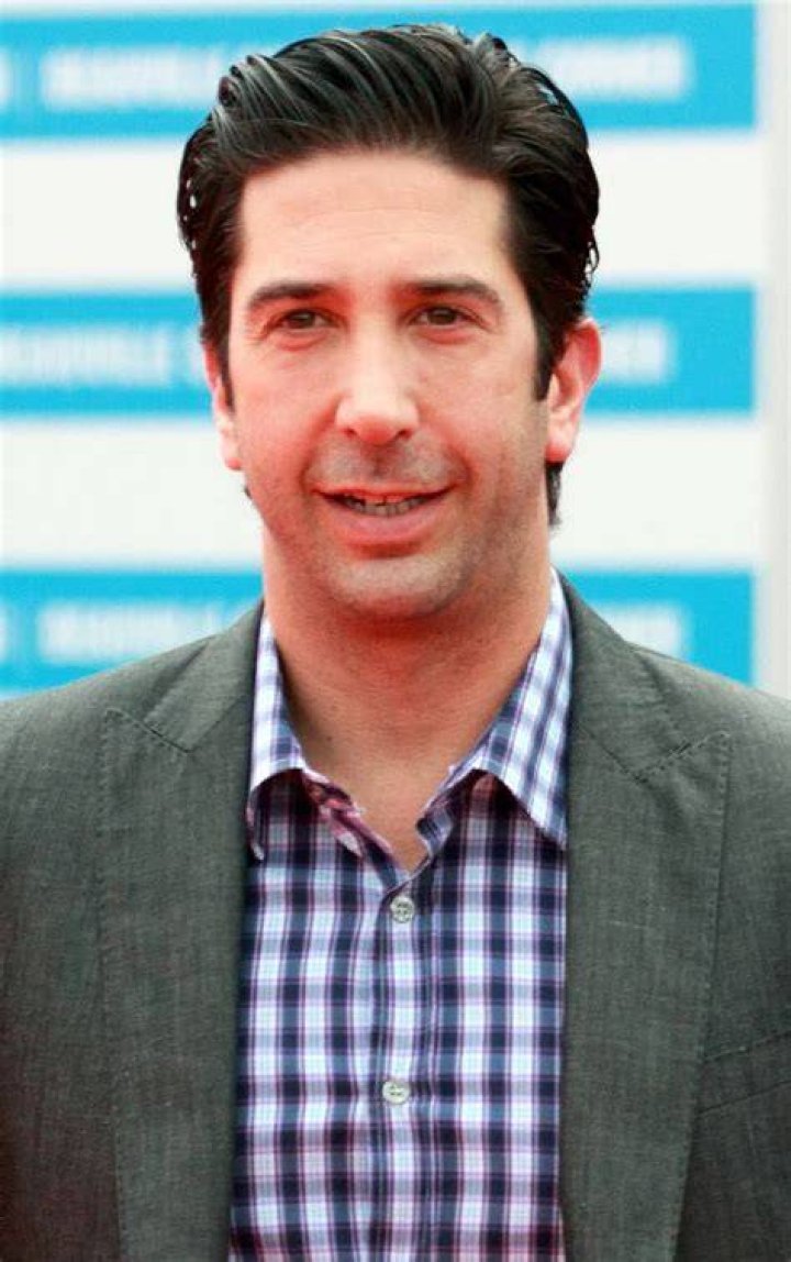 David Schwimmer Age, Bio, Birthday, Family, Net Worth National Today