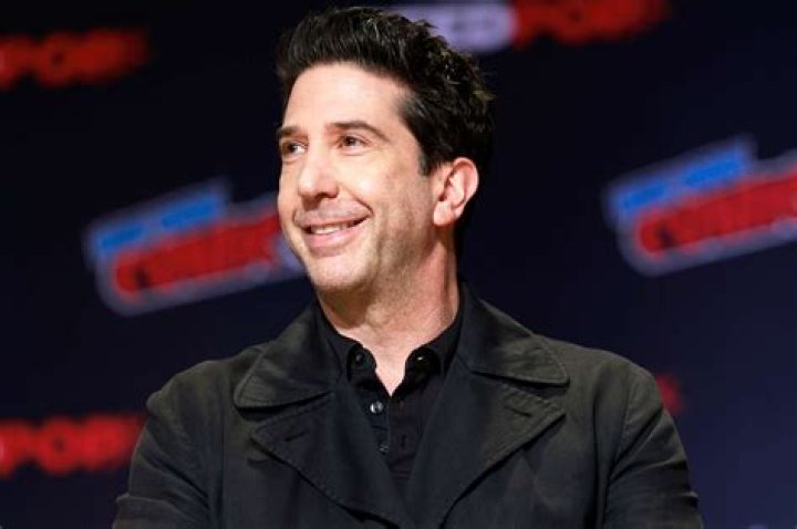 David Schwimmer says &lsquo;Friends&rsquo; fame made him &lsquo;want to hide&rsquo; National