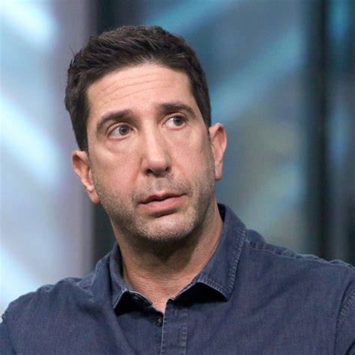 David Schwimmer shares his tips on fatherhood in new podcast