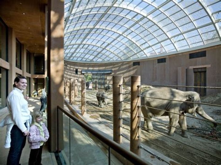 Elephant House, Copenhagen Zoo BuroHappold Engineering