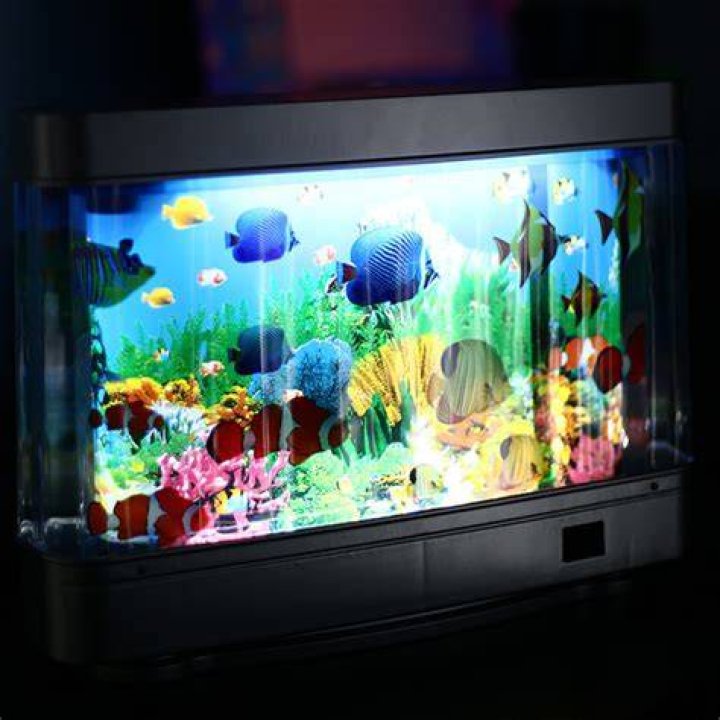 Fascinating Fish Tank Sylvia An Underwater Wonderland Of Colorful Life