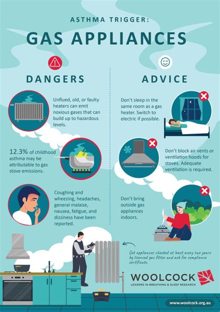 Gas Appliances are Bad for the Environment Aron Gangbar London