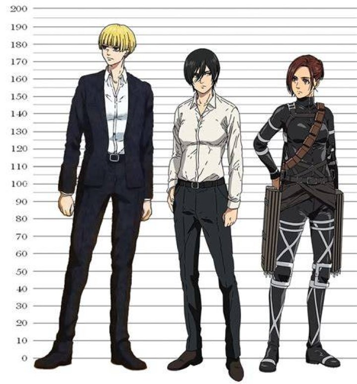 Interesting fact Mikasa (176 cm) and Sasha (173 cm) are the 2nd and