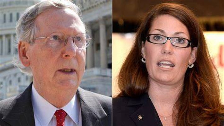 Kentucky Senate Race 2014 ABC News' '14 For 14' ABC News
