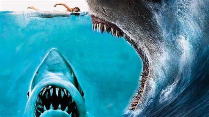Killer shark circles man and eats him alive before it's beaten to death