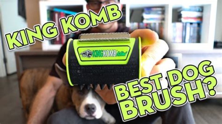 King Komb Review All Pet Cages