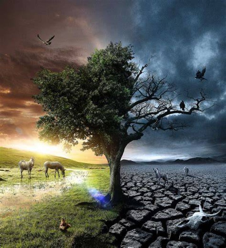 Life and Death of ‘Gunsmoke’ Star Dennis Weaver Who Left This World 13