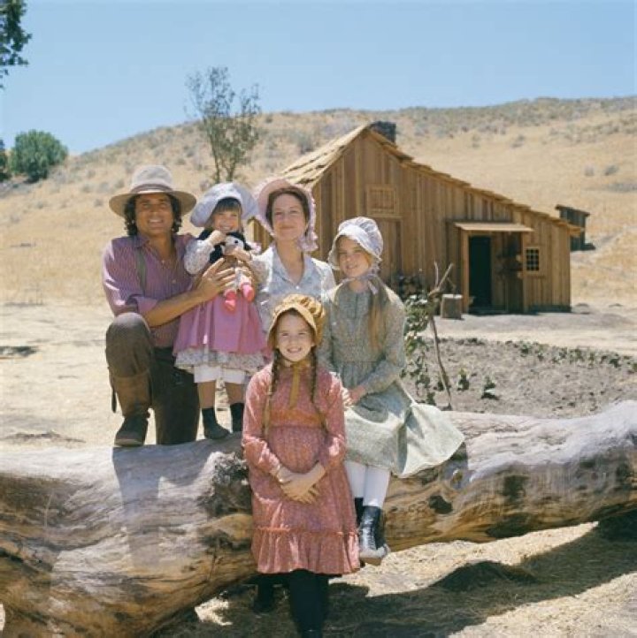 Little House On The Prairie Who Plays Albert & Where Did His Career