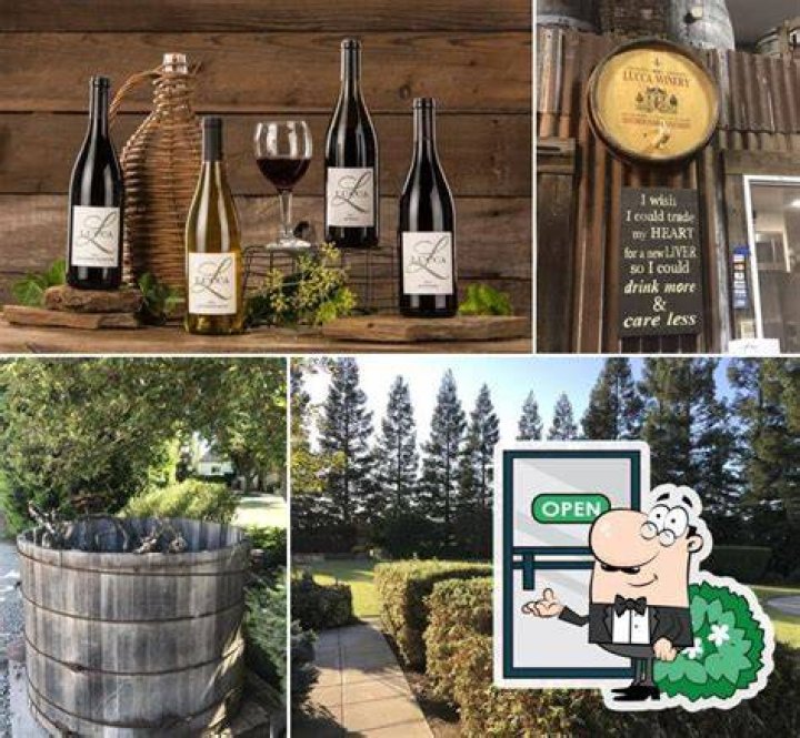 Lucca Winery Ripon, California Top Brunch Spots