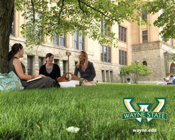Melanie OLMSTED Wayne State University, Michigan WSU School of