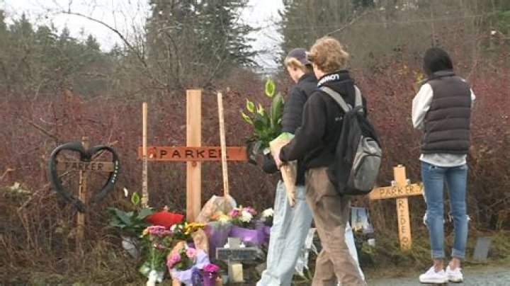 Nanaimo Parker Amann Death And Obituary Family Mourns The Loss Tvsparkle