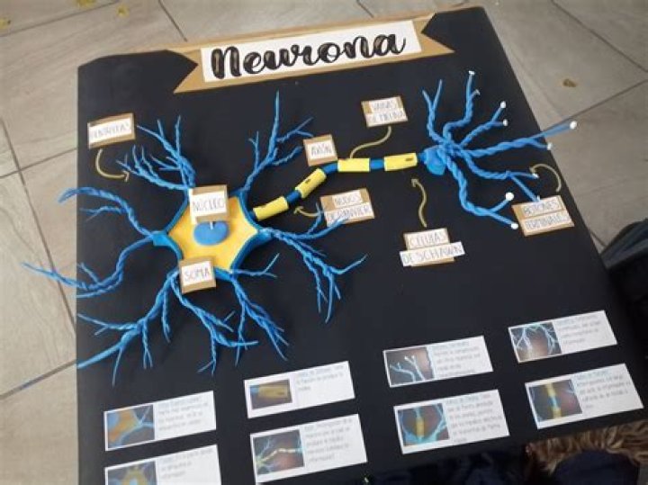 Neuronas Creativas Portfolio &raquo; Lia Joyer&iacute;a