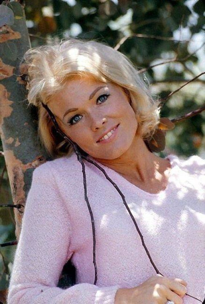 Pat Priest Net Worth How Much is Pat Priest Worth?