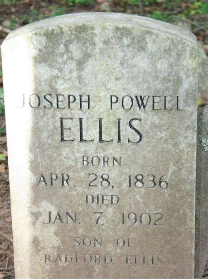 Powell and Ellis deposition videos were leaked to intimidate witnesses