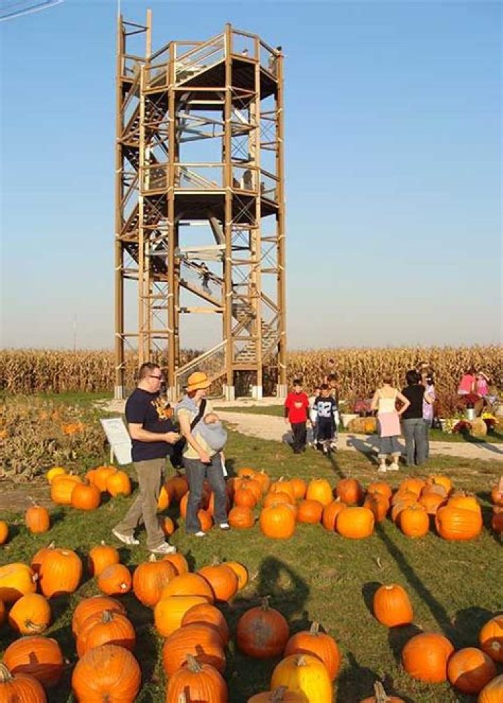 Richardson Adventure Farm Observation Tower and Tree O the Places We Go