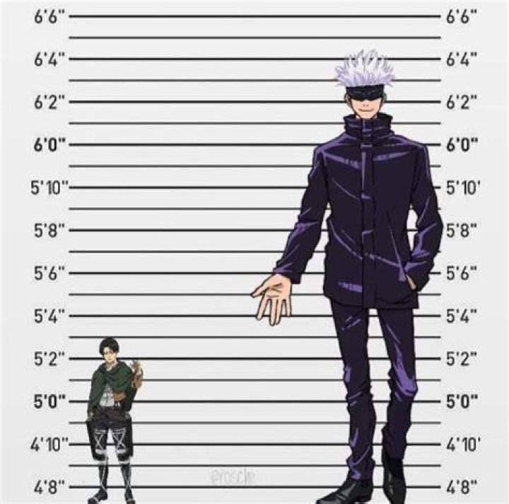 Satoru Gojo Height His glasses and personality make him one of the