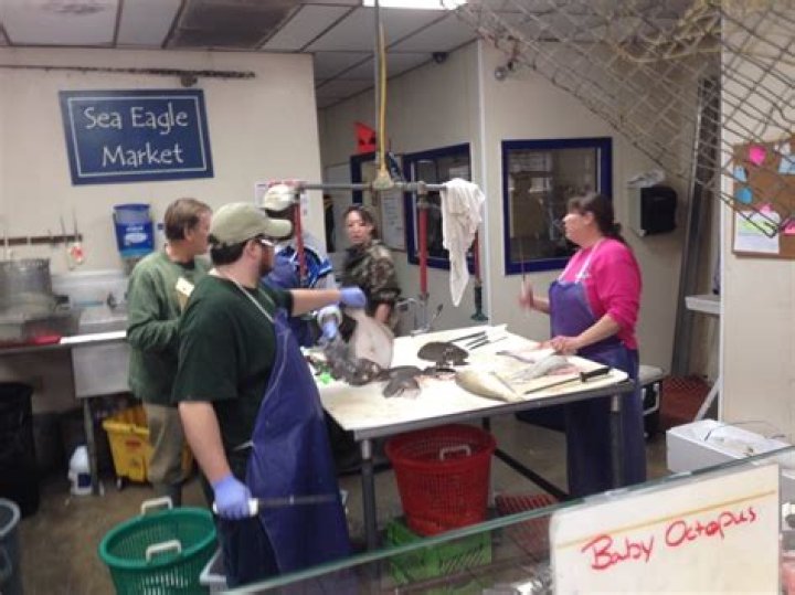 Sea Eagle Market 20 Reviews Seafood Markets 2242 Boundary St