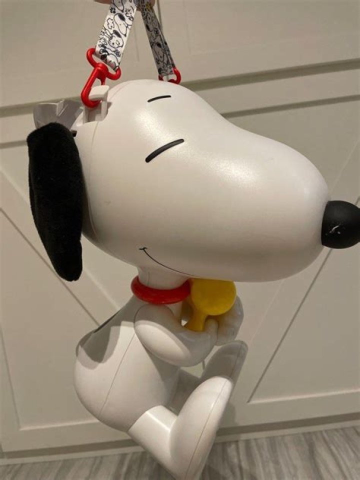 Snoopy popcorn bucket Universal Studios Japan Snoopy, Universal