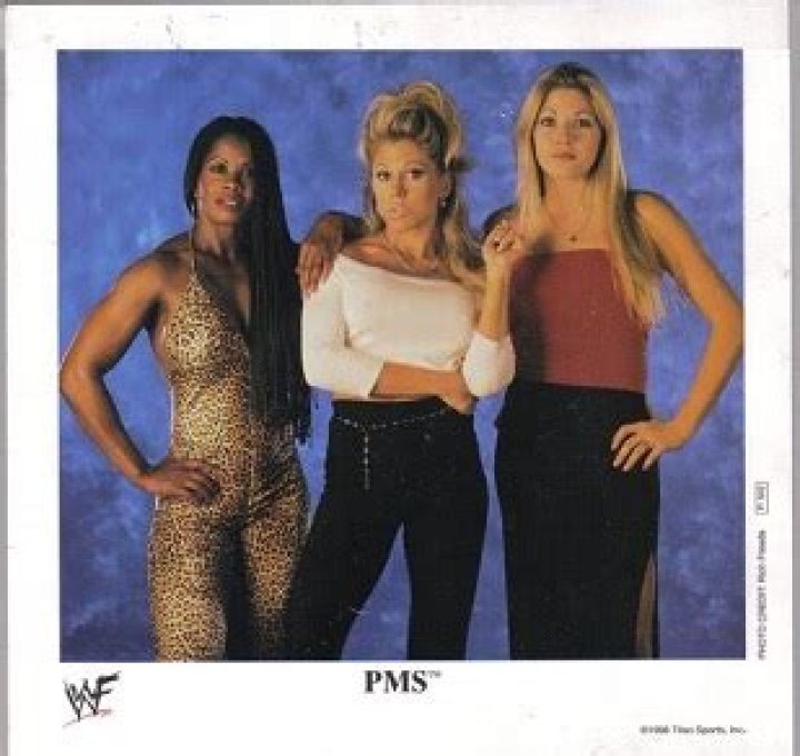 Steam Mean Sisters P.M.S. WWF (1998)