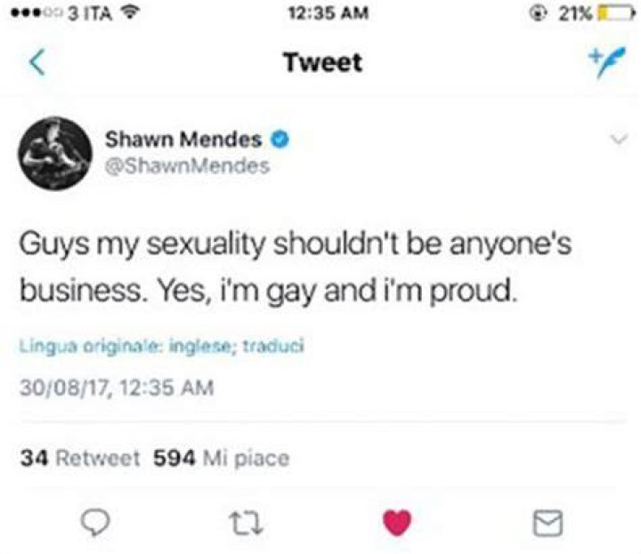 That Fake Tweet About Shawn Mendes Coming Out as Gay Is Homophobia at