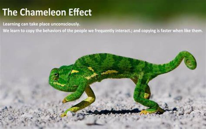The Chameleon Effect by Joe Arden Goodreads