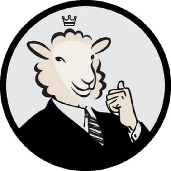 The Daily Sheeple YouTube
