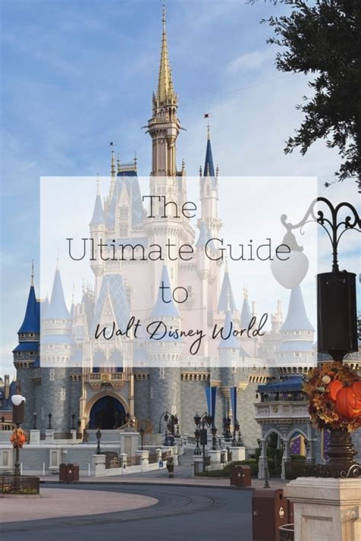 The Ultimate Guide to Walt Disney's Los Angeles