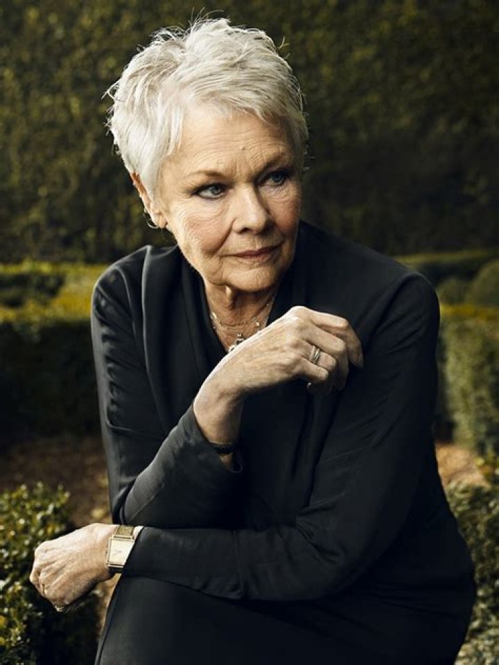 The Vote Judi Dench to star with daughter in polling station play