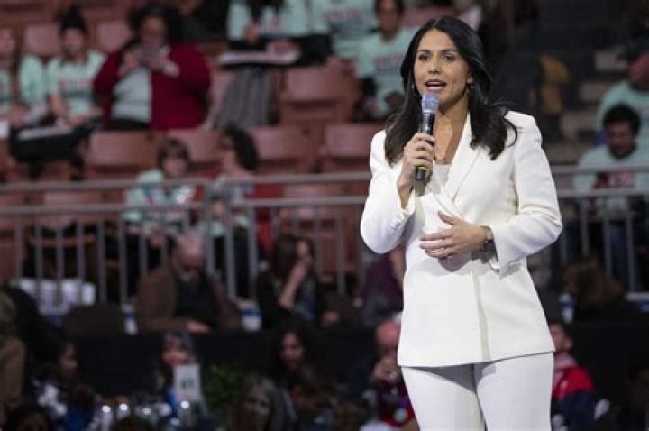 Tulsi Gabbard On The NPR Politics Podcast U.S. Needs To Stop Policing