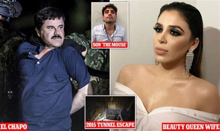 Vicente ZambadaNiebla, El Chapo's godson gets 15year sentence in
