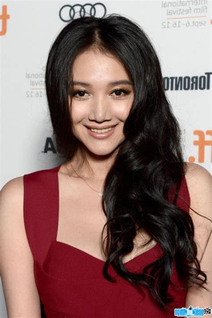 Wenwen Han Wiki & Bio Everipedia