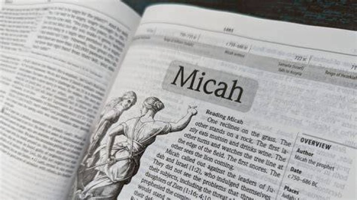 Who Are Micah's Parents From 'Love Is Blind'?