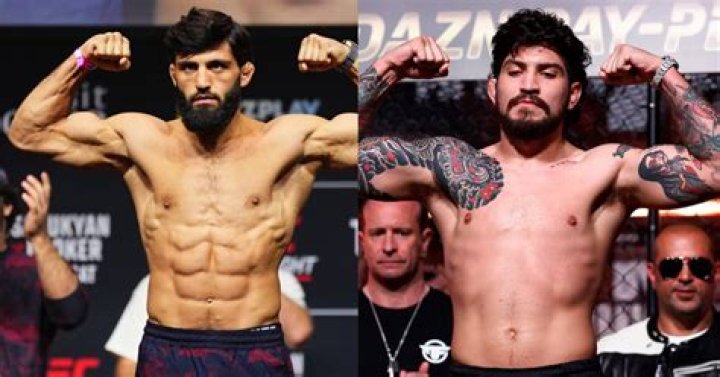 Who Is Dillon Danis' Girlfriend Savannah? What Jake Paul Said About Her