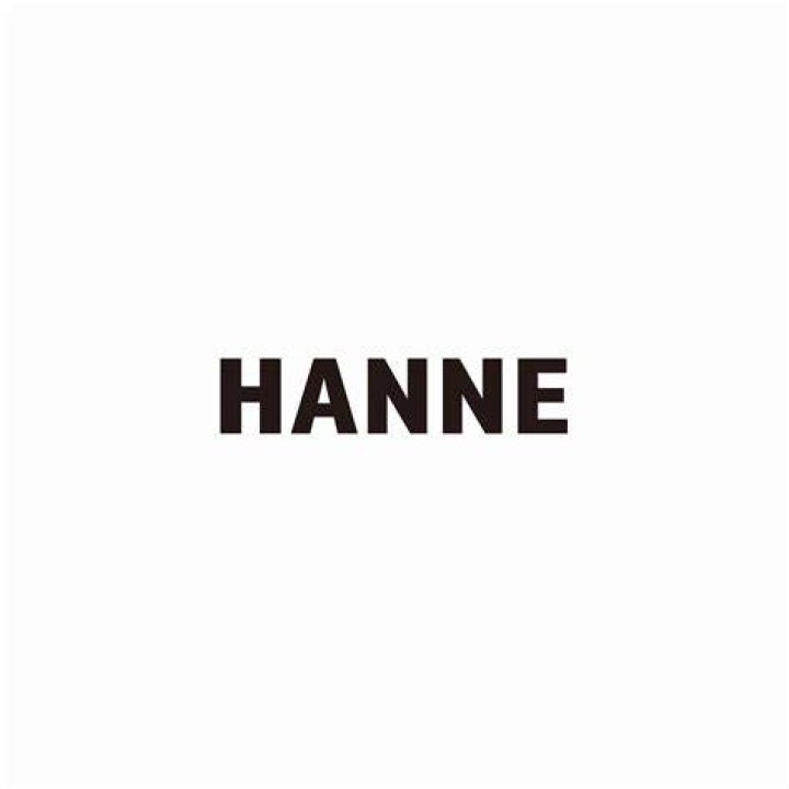 Who is Hanne All About Idris Elba's First Wife