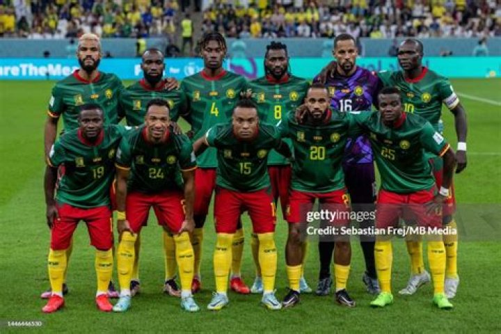 World Cup 2014 Cameroon profile Vincent Aboubakar Arthur Wandji