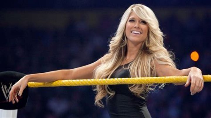 WWE Kelly Kelly confirms she will be at WrestleMania 33 in Orlando