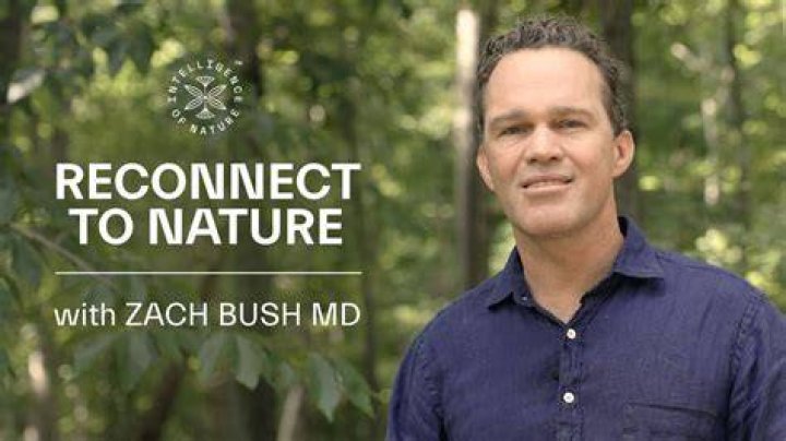 Zach Bush, MD Wants You To Let Go Of Your Story Rich Roll